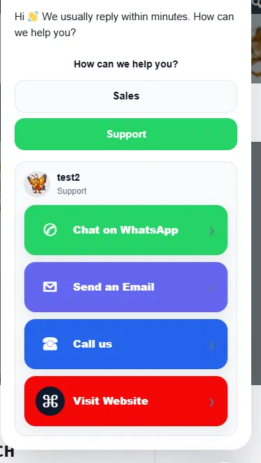 WebWerk Contact Chat Widget Pro – Chat-Fenster mit Mitarbeitern und Kanälen WhatsApp, E-Mail, Telefon und Website